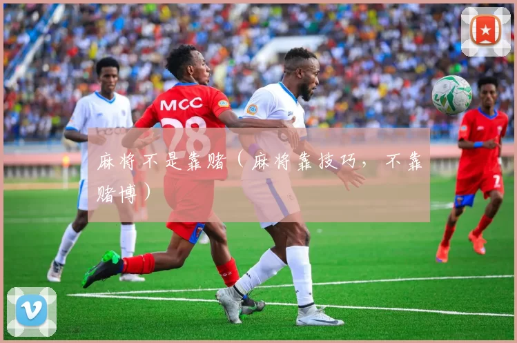 麻将不是靠赌（麻将靠技巧，不靠赌博）