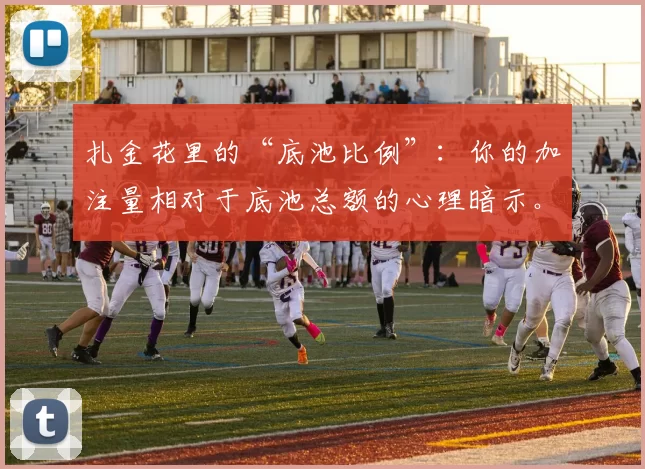扎金花里的“底池比例”：你的加注量相对于底池总额的心理暗示。（扎金花的底池比例：加注与底池规模之比所传递的心理信号）