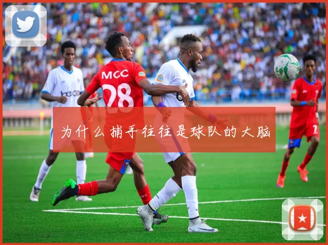为什么捕手往往是球队的大脑