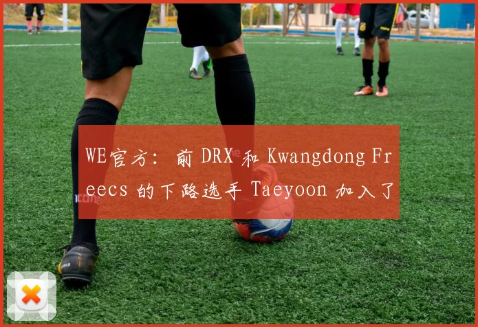 WE官方：前 DRX 和 Kwangdong Freecs 的下路选手 Taeyoon 加入了团队