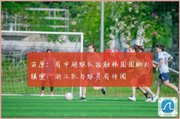 苗原：有中超球队接触韩国国脚朴镇燮，浙江队与球员有传闻