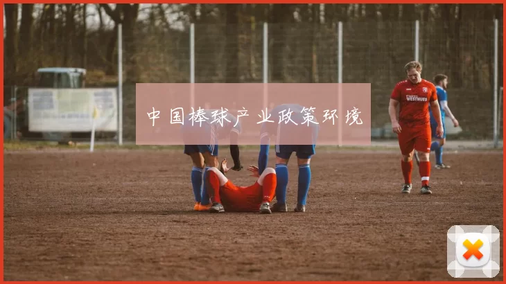 中国棒球产业政策环境