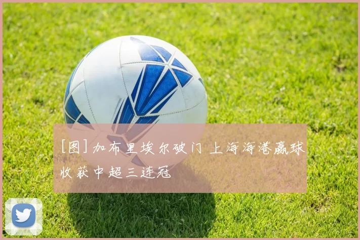 [图]加布里埃尔破门 上海海港赢球收获中超三连冠